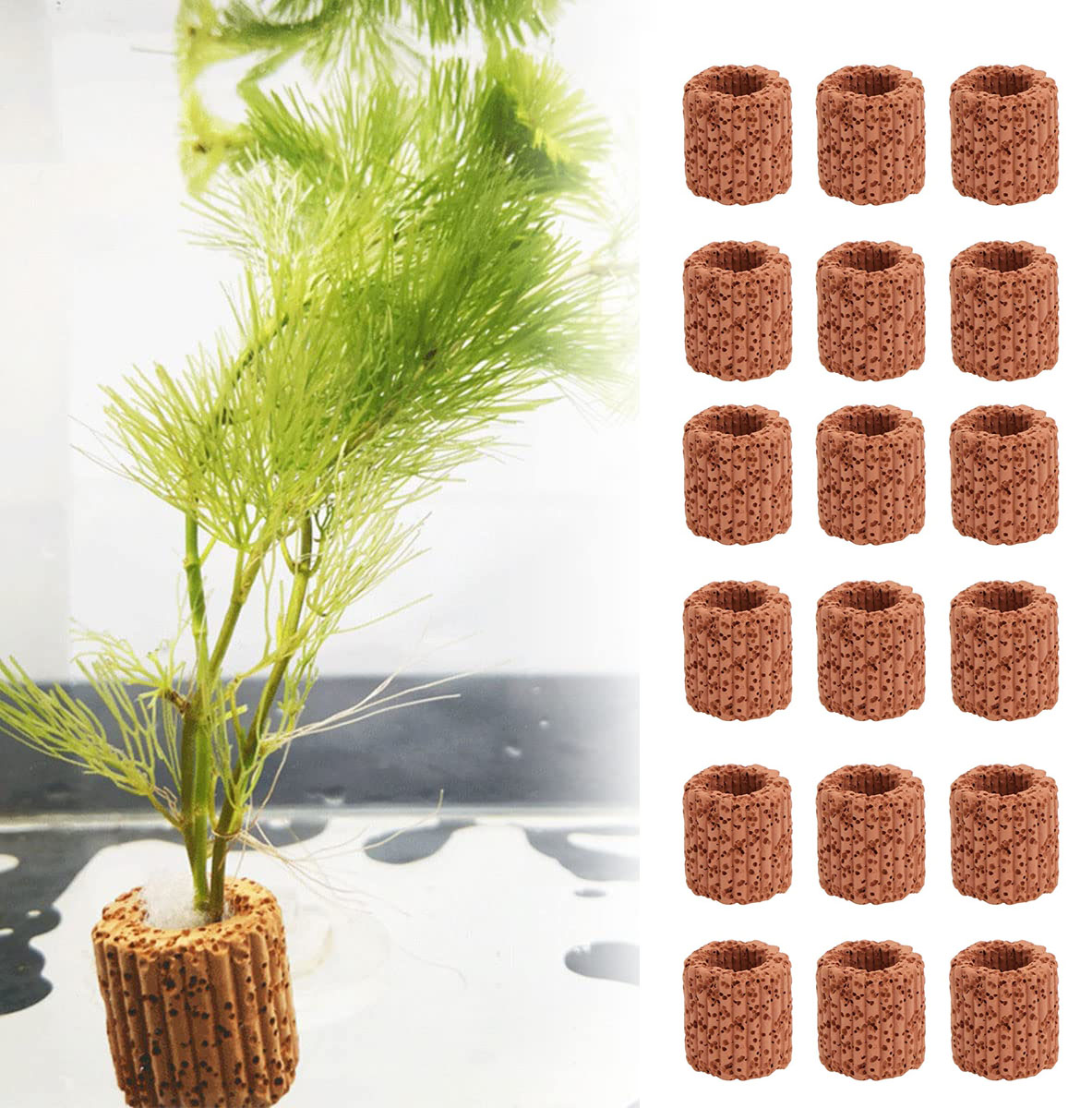 Aquarium Planet - 10/20Pcs Aquatic Water Plant Fixed Ring