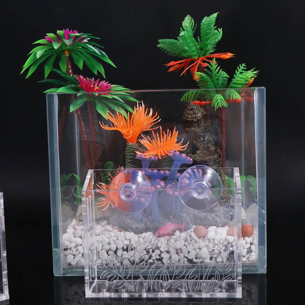 Wall Hanging Aquarium Plants C - Aquarium Planted Wall 评论和价格