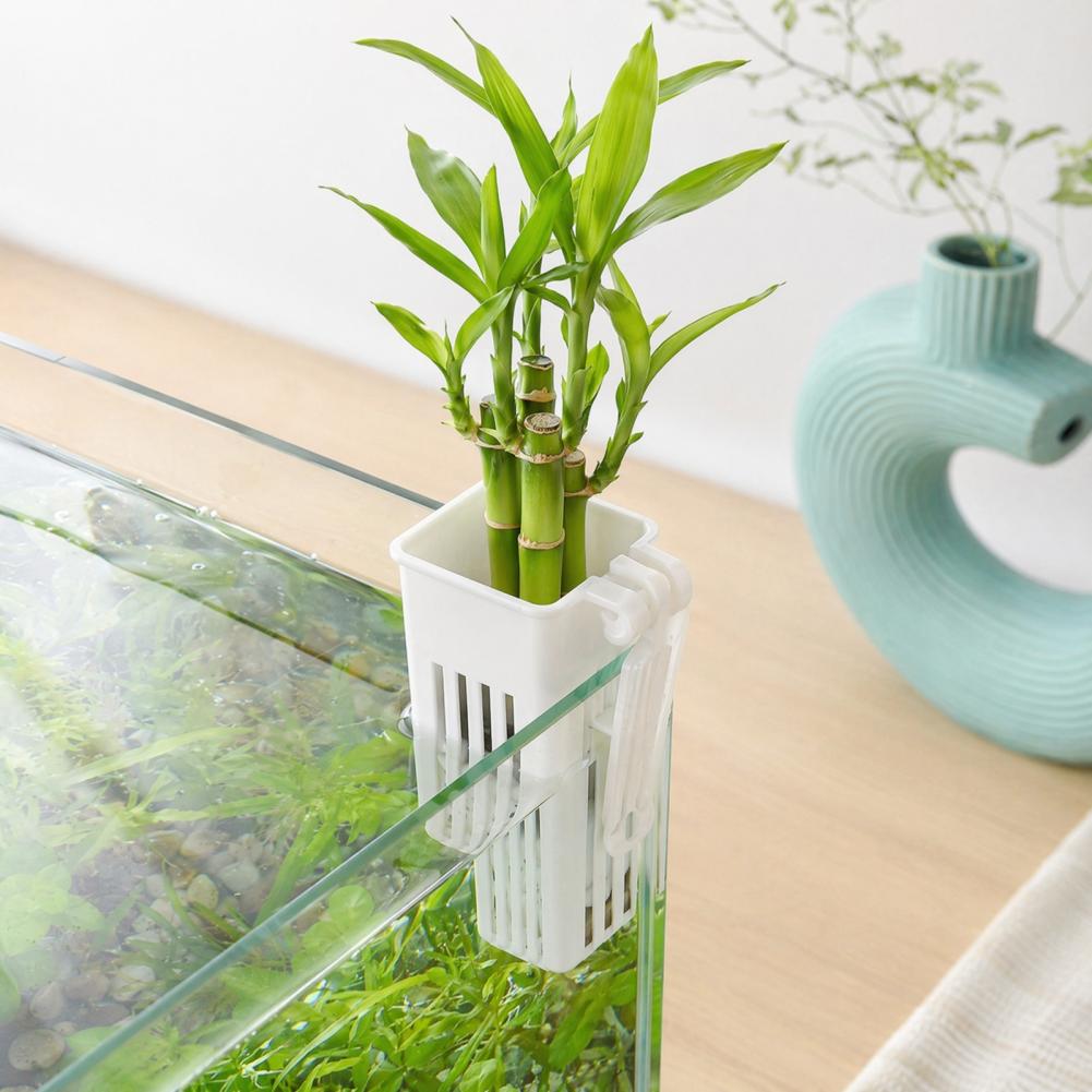 Tank Plant Container Hydroponi - Aquarium Planted Wall 评论和价格