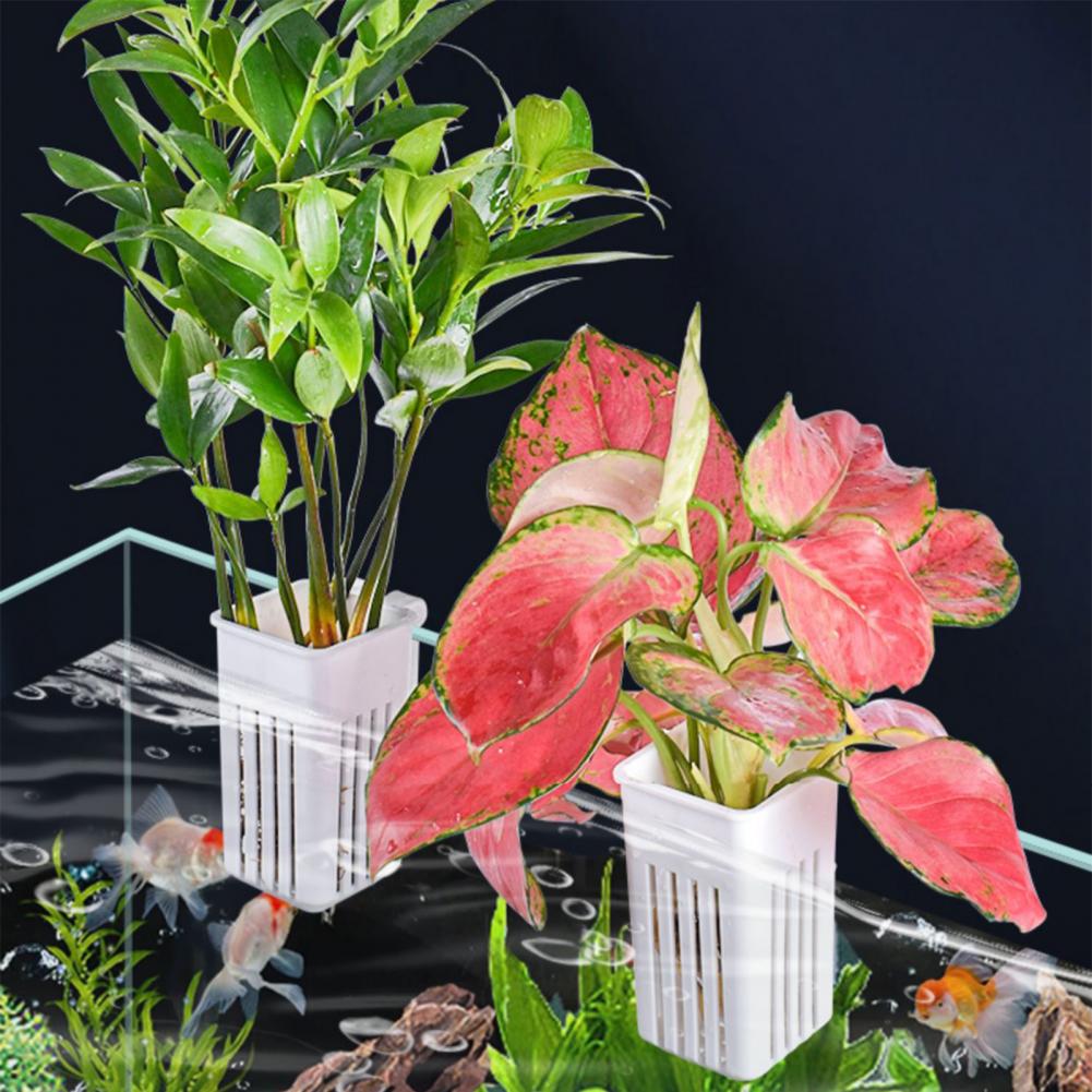 Tank Plant Container Hydroponi - Aquarium Planted Wall 评论和价格