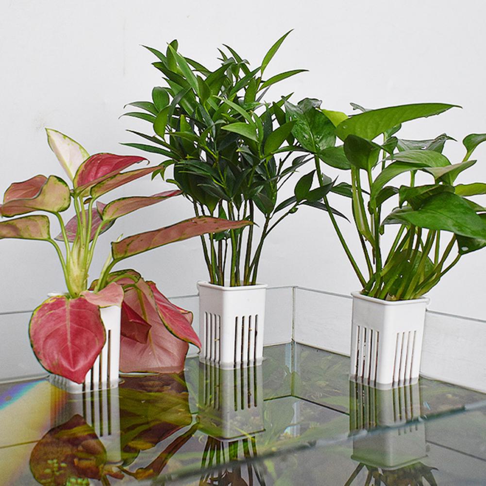 Tank Plant Container Hydroponi - Aquarium Planted Wall 评论和价格
