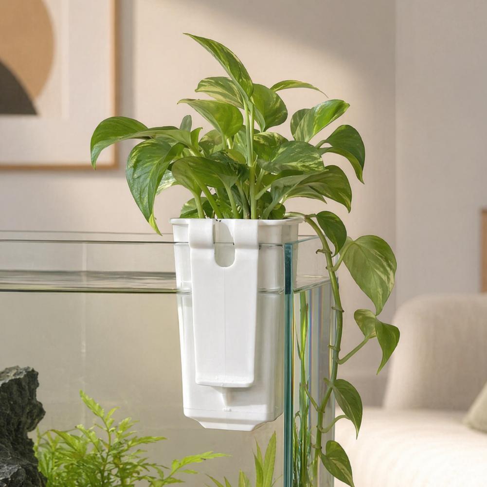 Tank Plant Container Hydroponi - Aquarium Planted Wall 评论和价格