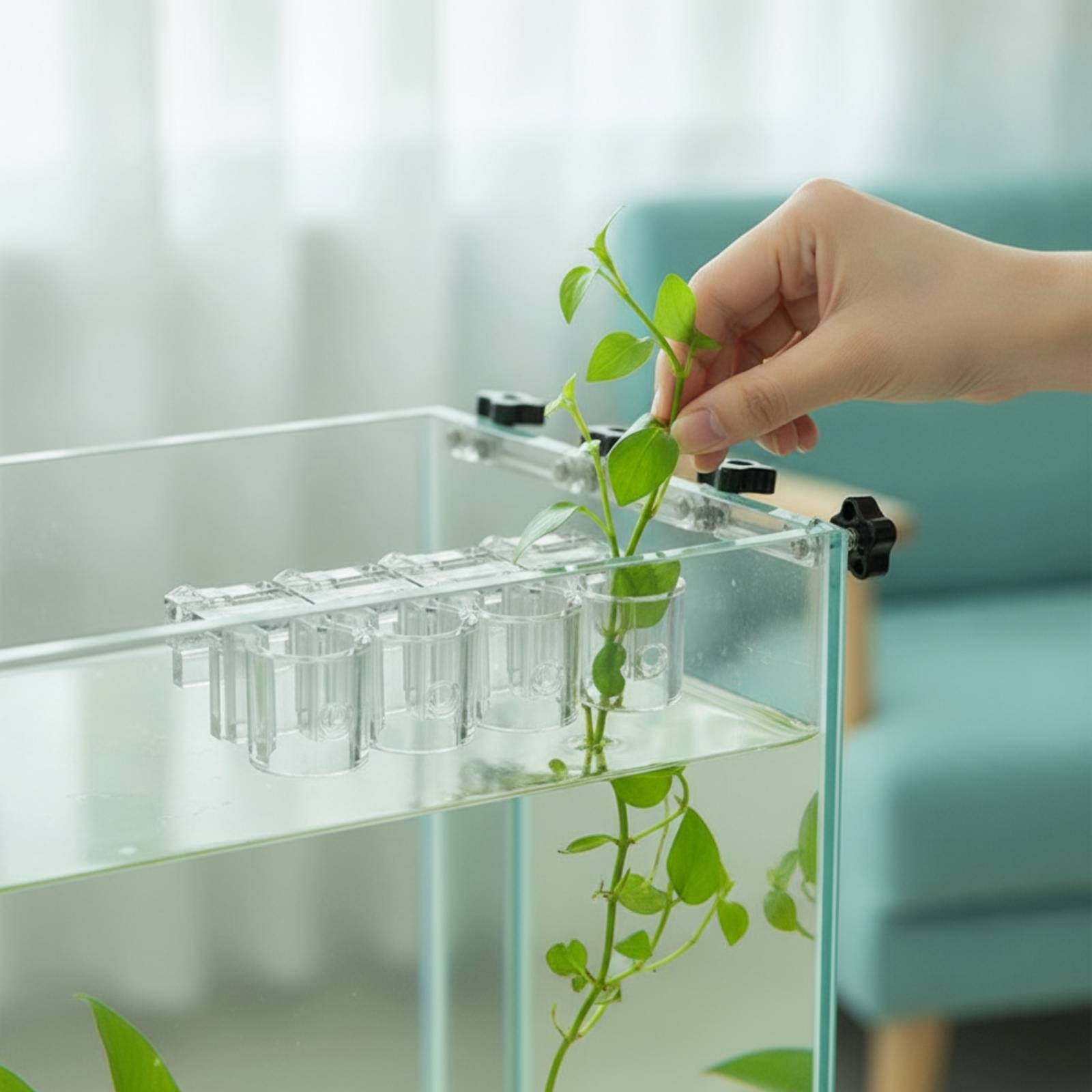 6 Pieces Aquarium Planter Clea - Aquarium Plants 评论和价格