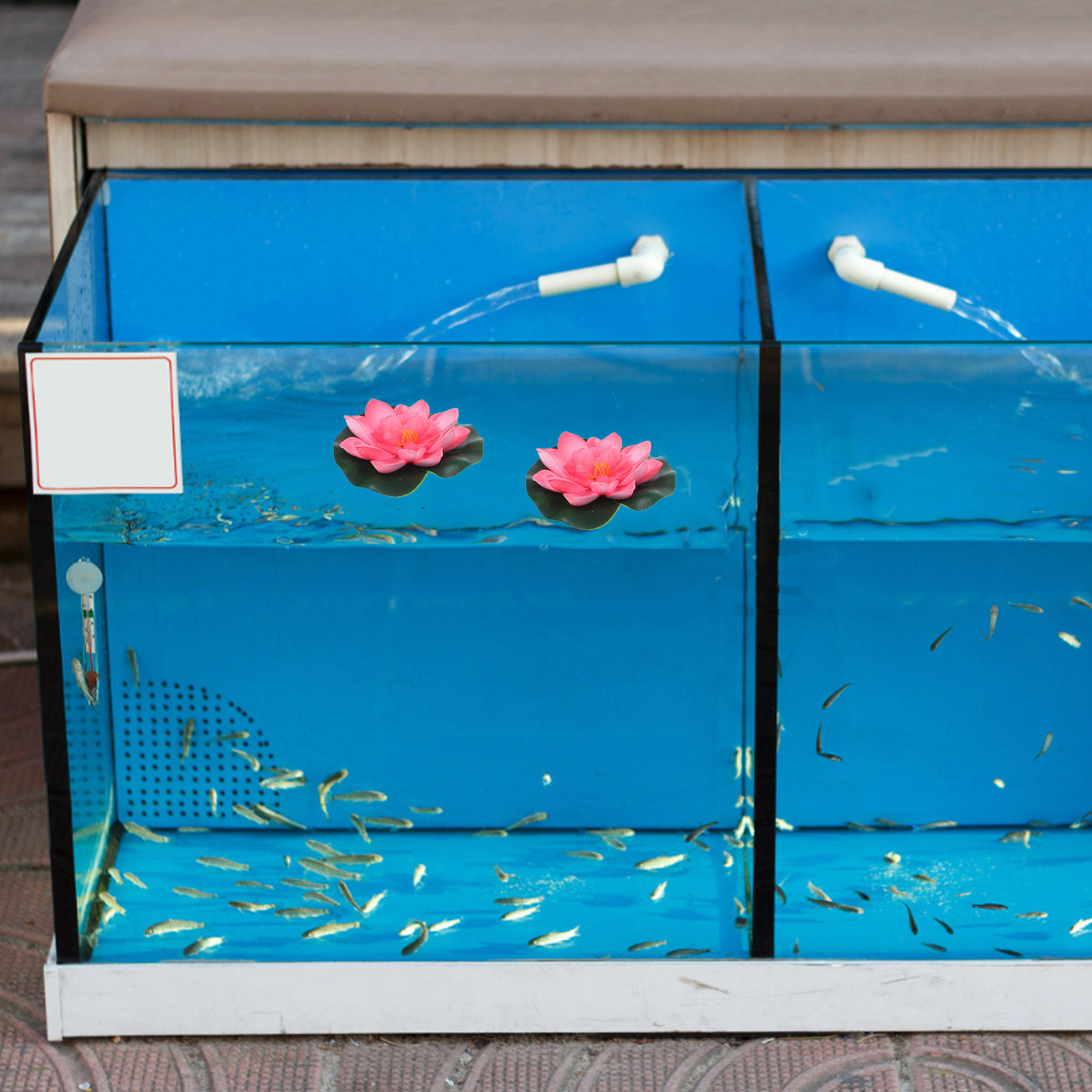 12Pcs Artificial Floating Wate - Aquarium Plants 评论和价格