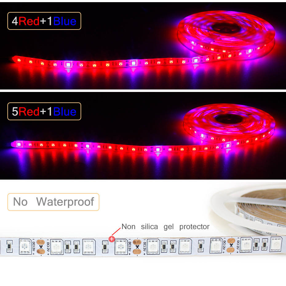 1M 2M 3M 4M 5M LED Grow Light  - Aquarium Plant Echinodorus 评论和价格