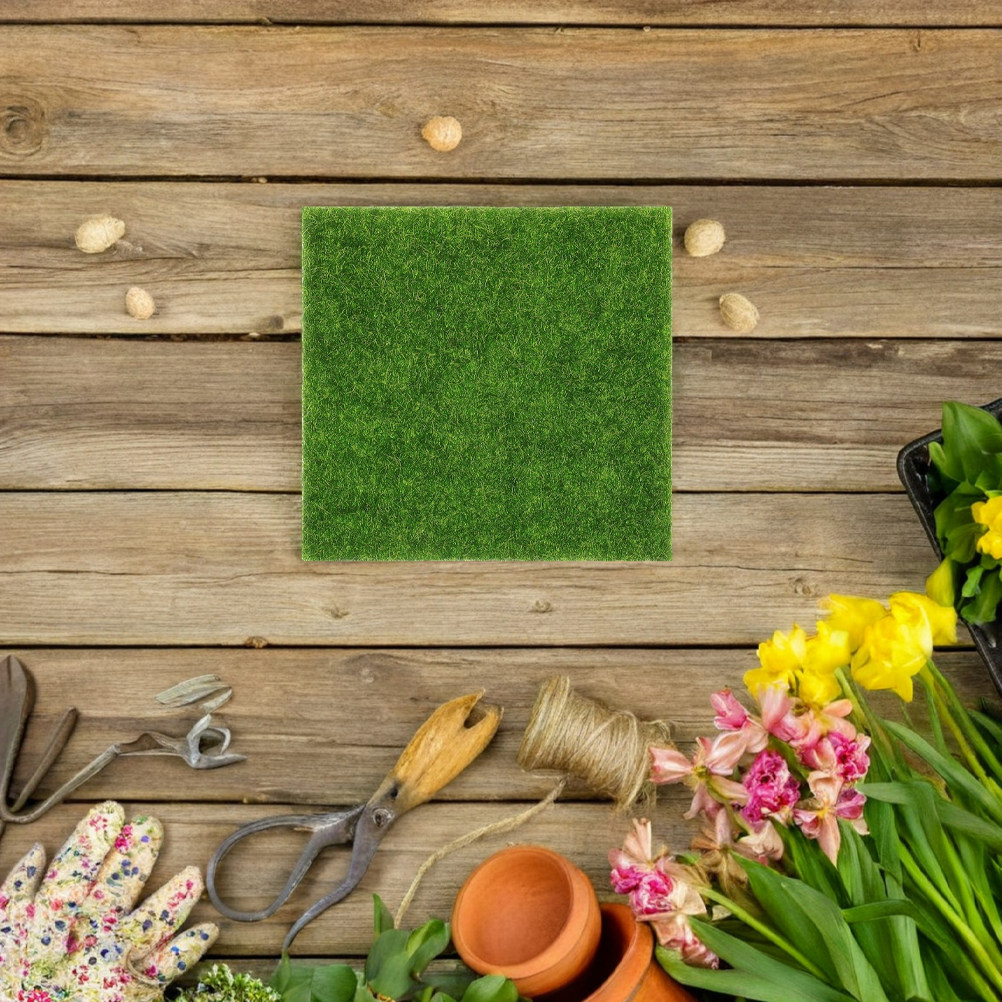 15Pcs Artificial Grass Realist - Aquarium Plants 评论和价格