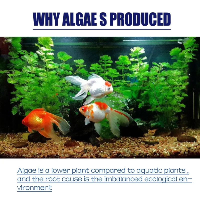 50g High Efficiency Algaecide  - Planted Aquarium Algae 评论和价格