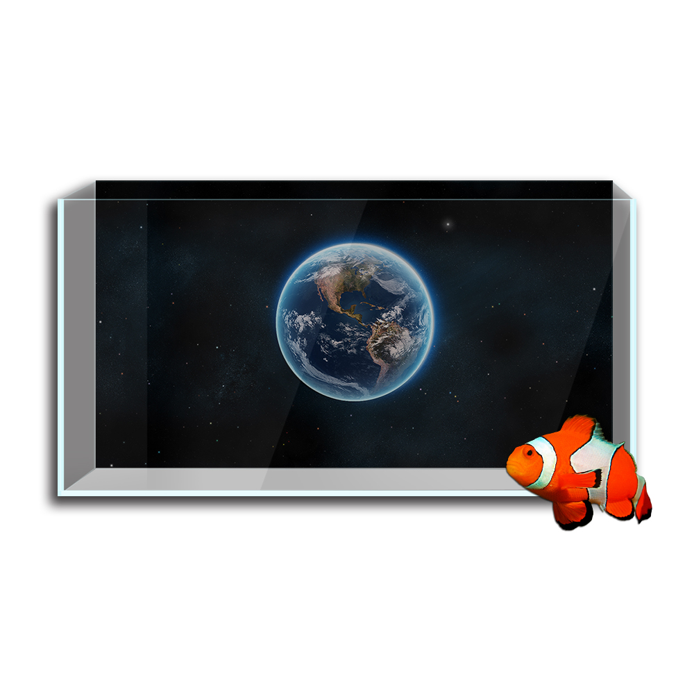 Aquarium Fish Tank  Background - Aquarium Planet 评论和价格
