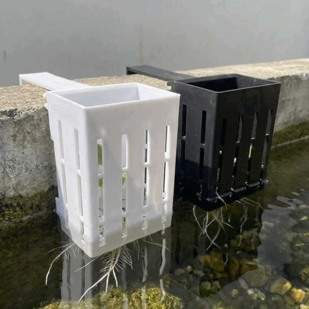 Wall-Mounted Aquarium Plant Ba - Aquarium Planted Wall 评论和价格