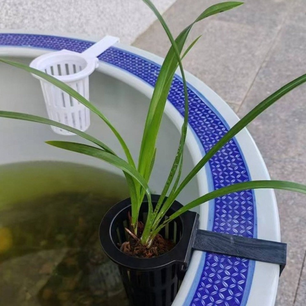 Wall-Mounted Aquarium Plant Ba - Aquarium Planted Wall 评论和价格