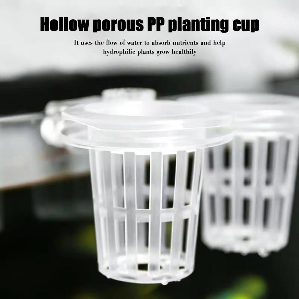 Aquarium Plant Holder Wall-Mou - Aquarium Planted Wall 评论和价格