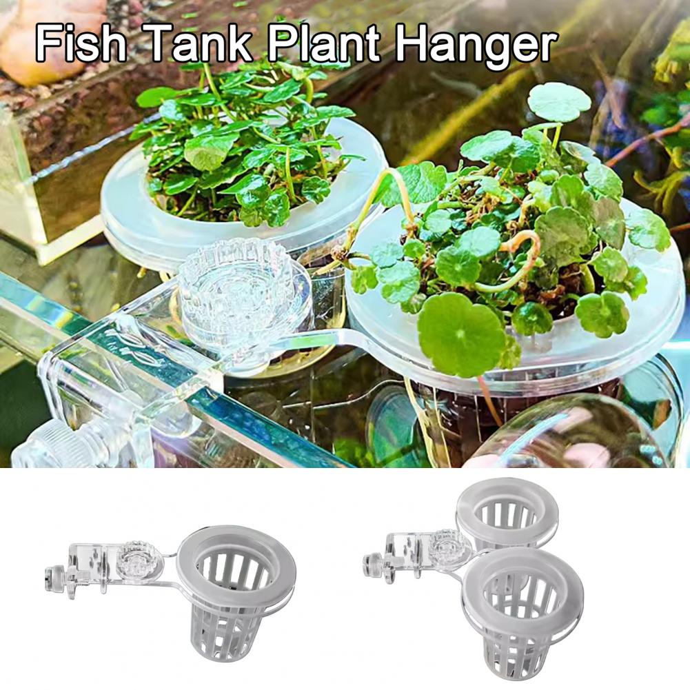 Aquarium Plant Holder Wall-Mou - Aquarium Planted Wall 评论和价格