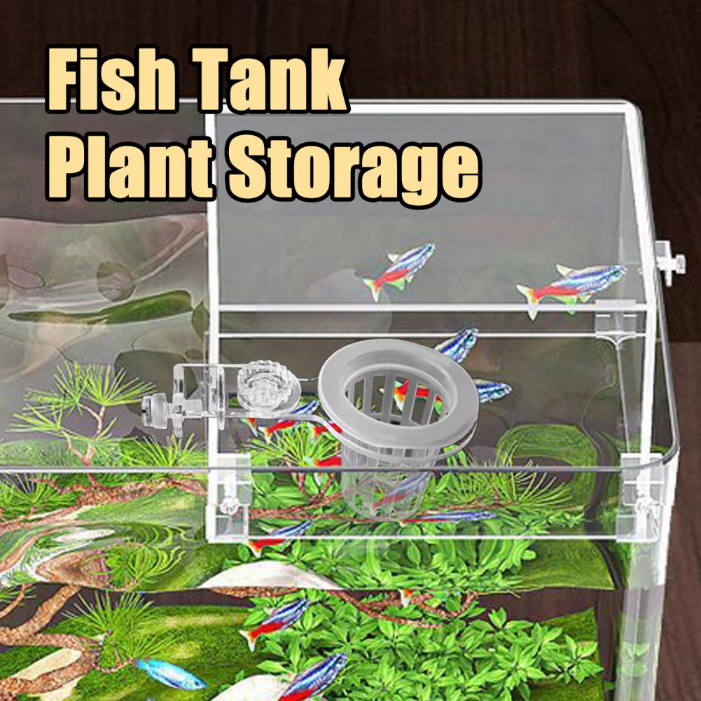 Aquarium Plant Holder Wall-Mou - Aquarium Planted Wall 评论和价格