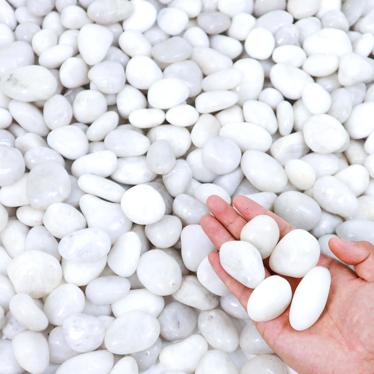 400g White Polished Natural Ri - Aquarium Sand White 评论和价格