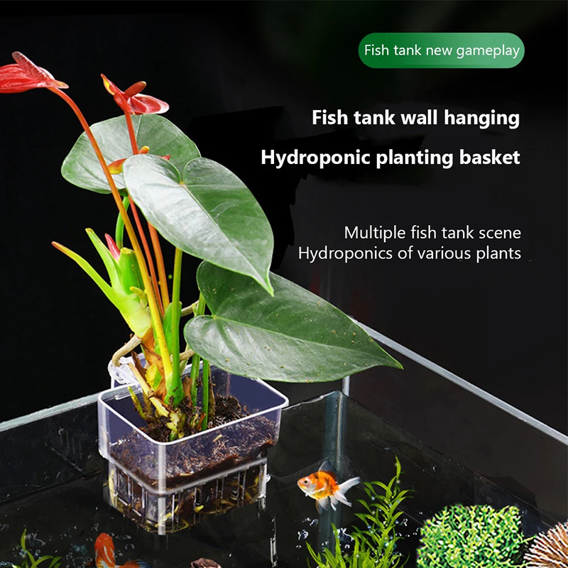 New【Hanging Aquarium Planter C - Aquarium Planted Wall 评论和价格