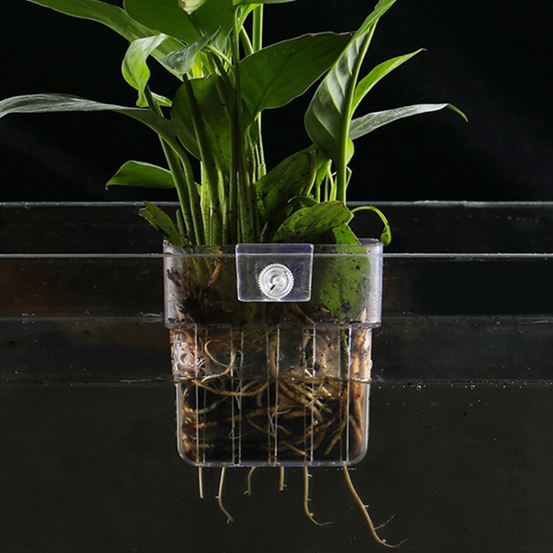 New【Hanging Aquarium Planter C - Aquarium Planted Wall 评论和价格