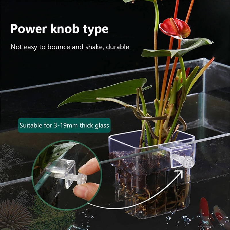New【Hanging Aquarium Planter C - Aquarium Planted Wall 评论和价格