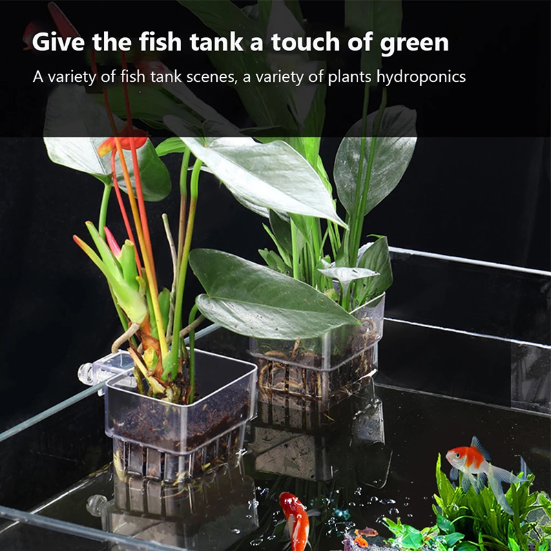 New【Hanging Aquarium Planter C - Aquarium Planted Wall 评论和价格