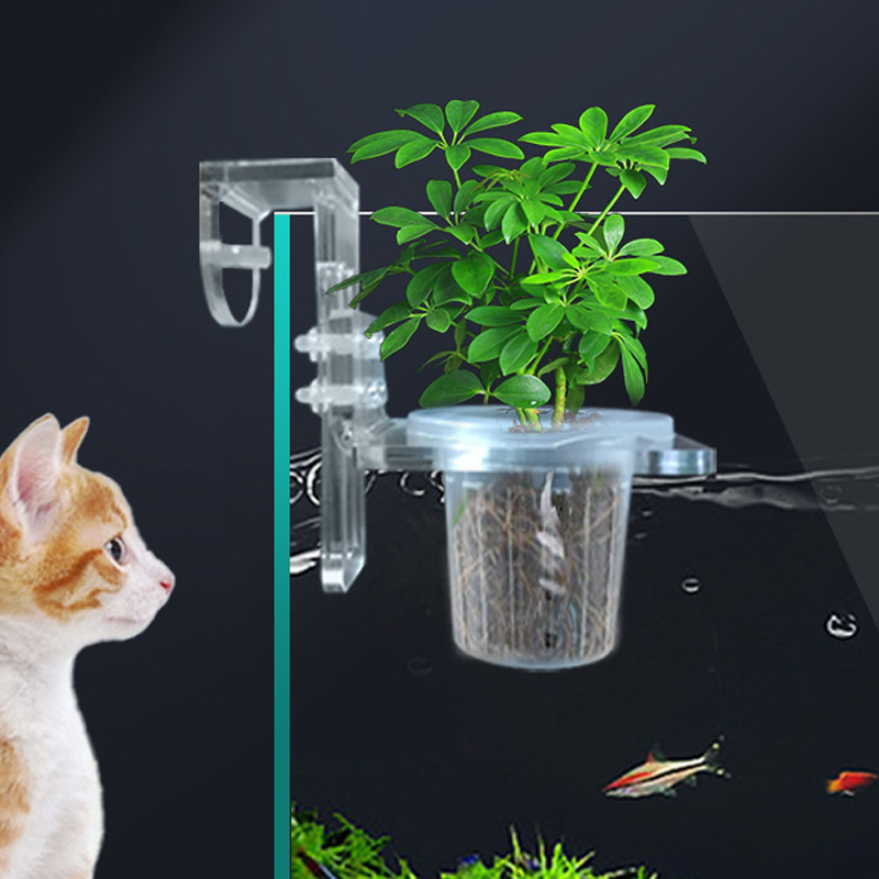 Fish Tank Planting Cups Hydrop - Aquarium Planted Wall 评论和价格