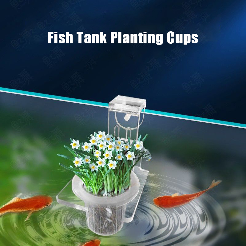 Fish Tank Planting Cups Hydrop - Aquarium Planted Wall 评论和价格
