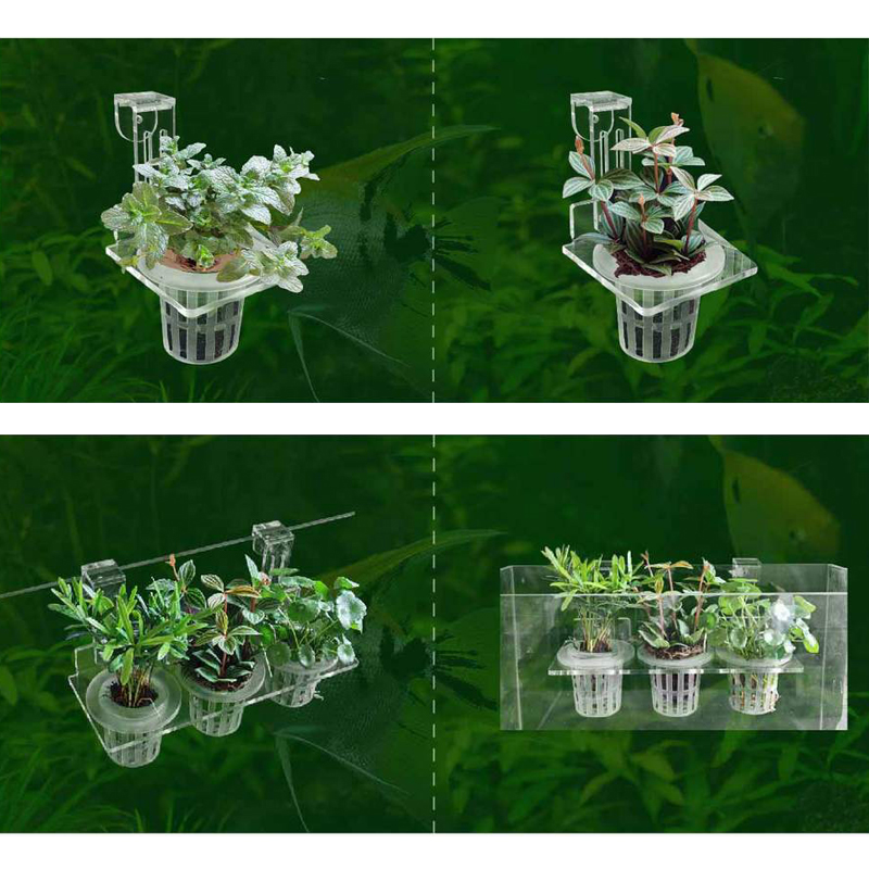 Fish Tank Planting Cups Hydrop - Aquarium Planted Wall 评论和价格