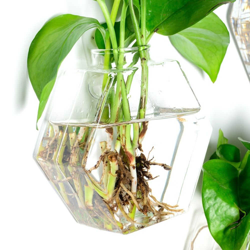 Cone Shape Wall Hanging Vase H - Aquarium Planted Wall 评论和价格