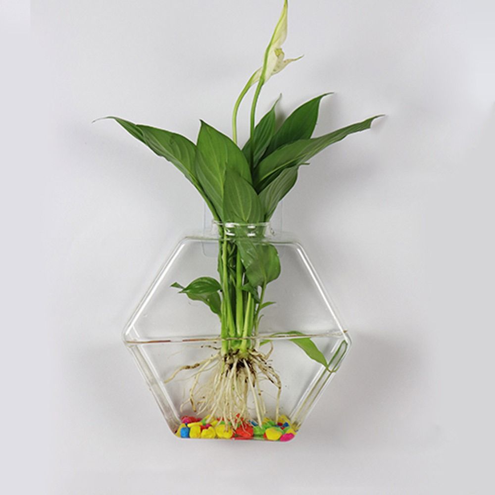 Cone Shape Wall Hanging Vase H - Aquarium Planted Wall 评论和价格