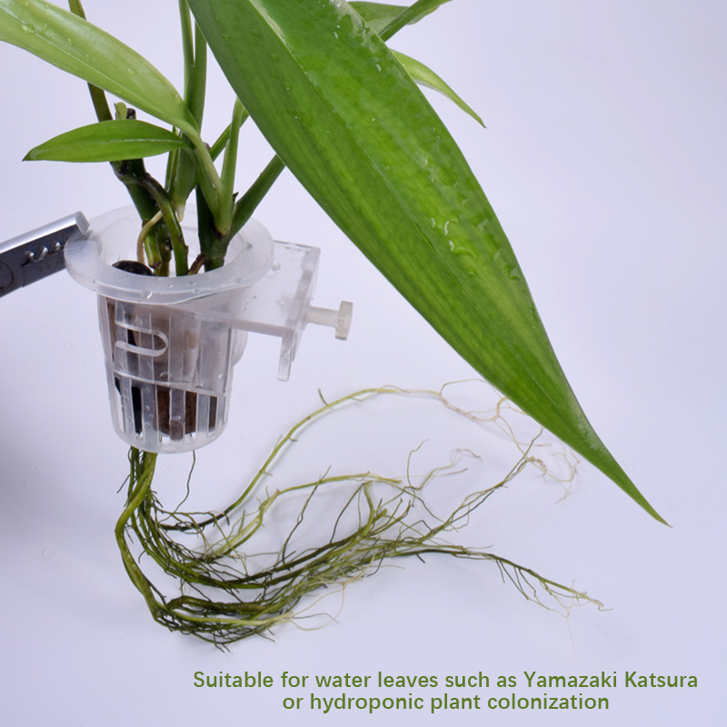 Wall Mounted Aquatic Plant Fix - Aquarium Planted Wall 评论和价格