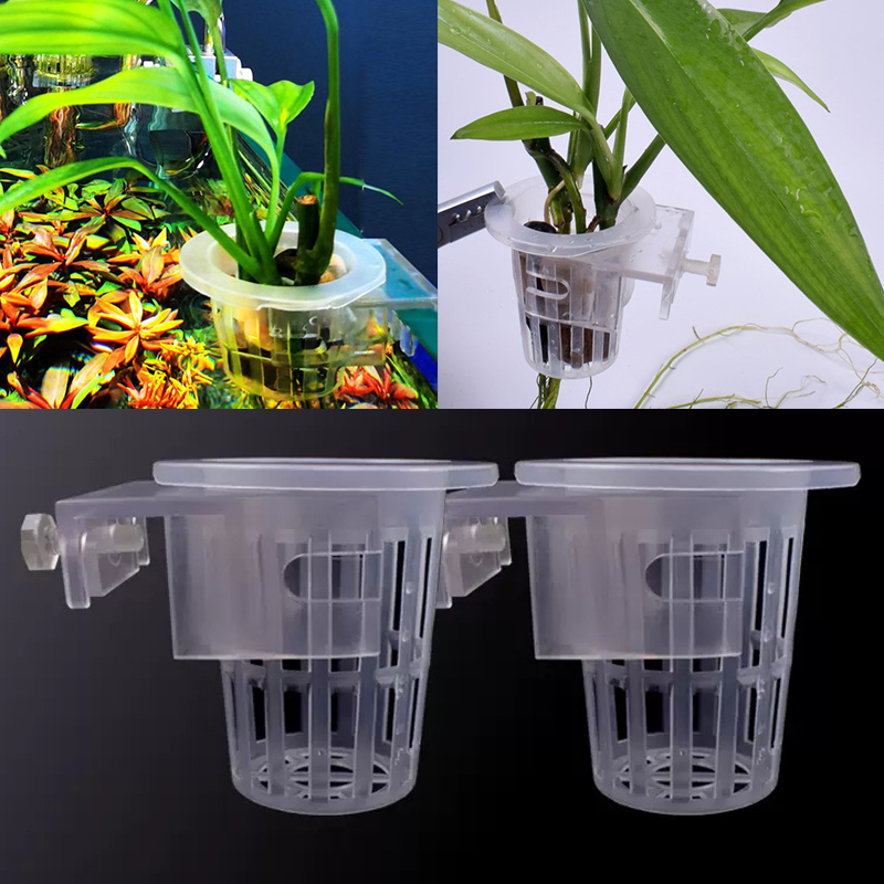 Wall Mounted Aquatic Plant Fix - Aquarium Planted Wall 评论和价格