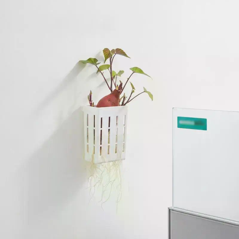 1Pcs Hydroponic Support Basket - Aquarium Plants 评论和价格