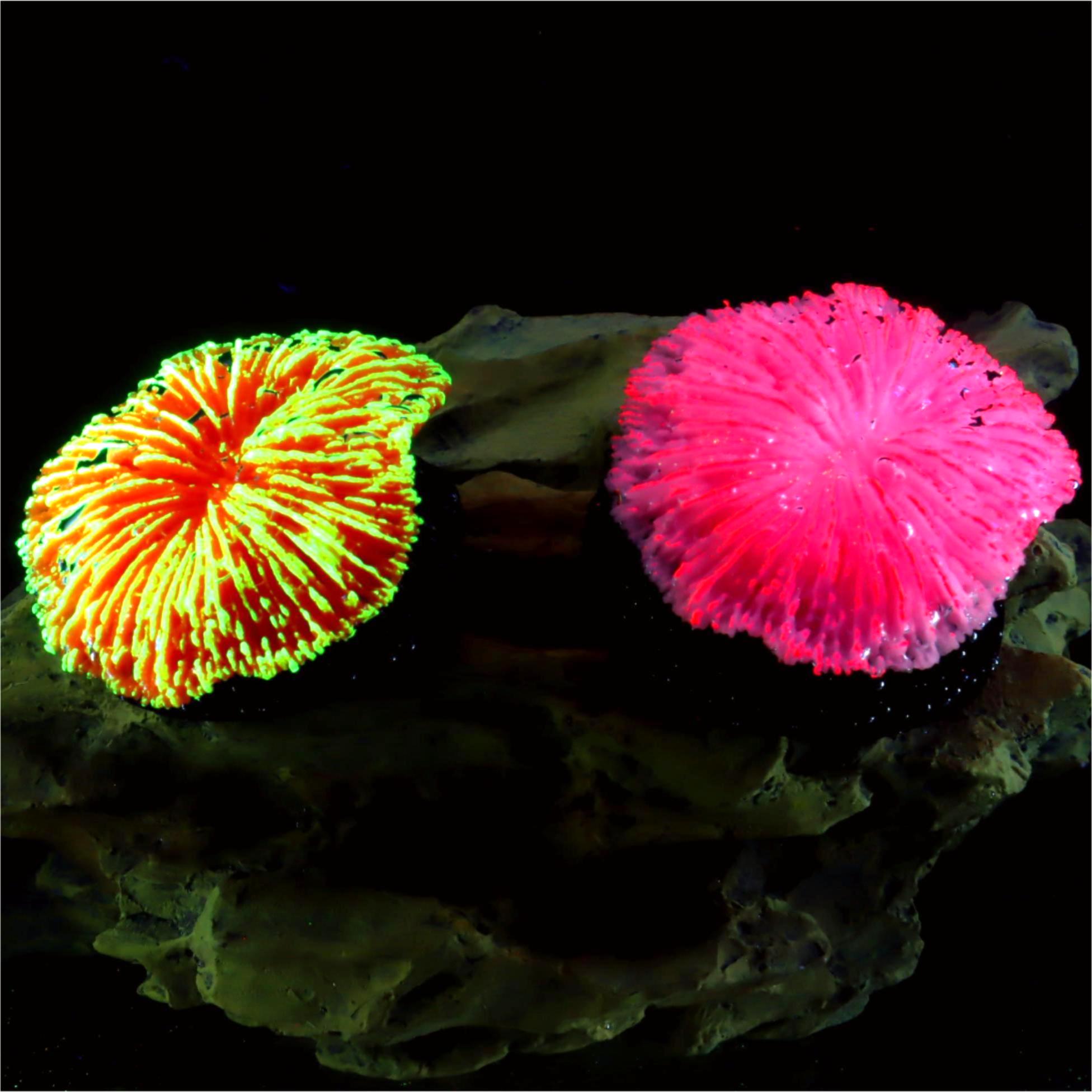 1 piece aquarium decoration sa - Aquarium Planet 评论和价格