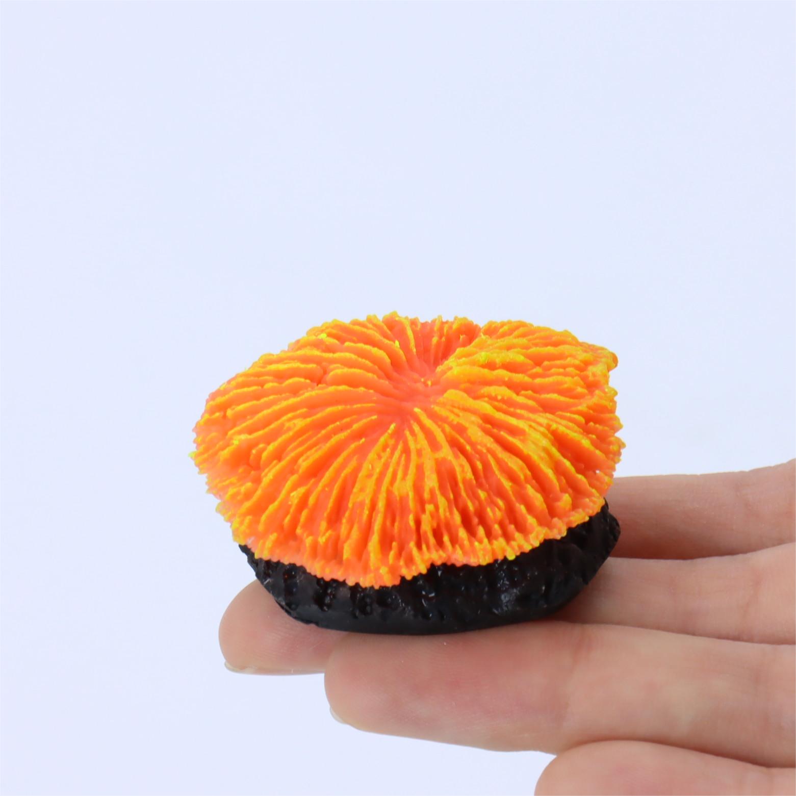 1 piece aquarium decoration sa - Aquarium Planet 评论和价格