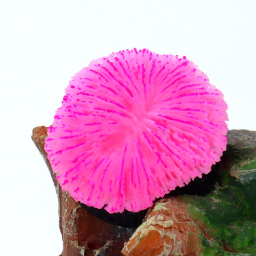 1 piece aquarium decoration sa - Aquarium Planet 评论和价格