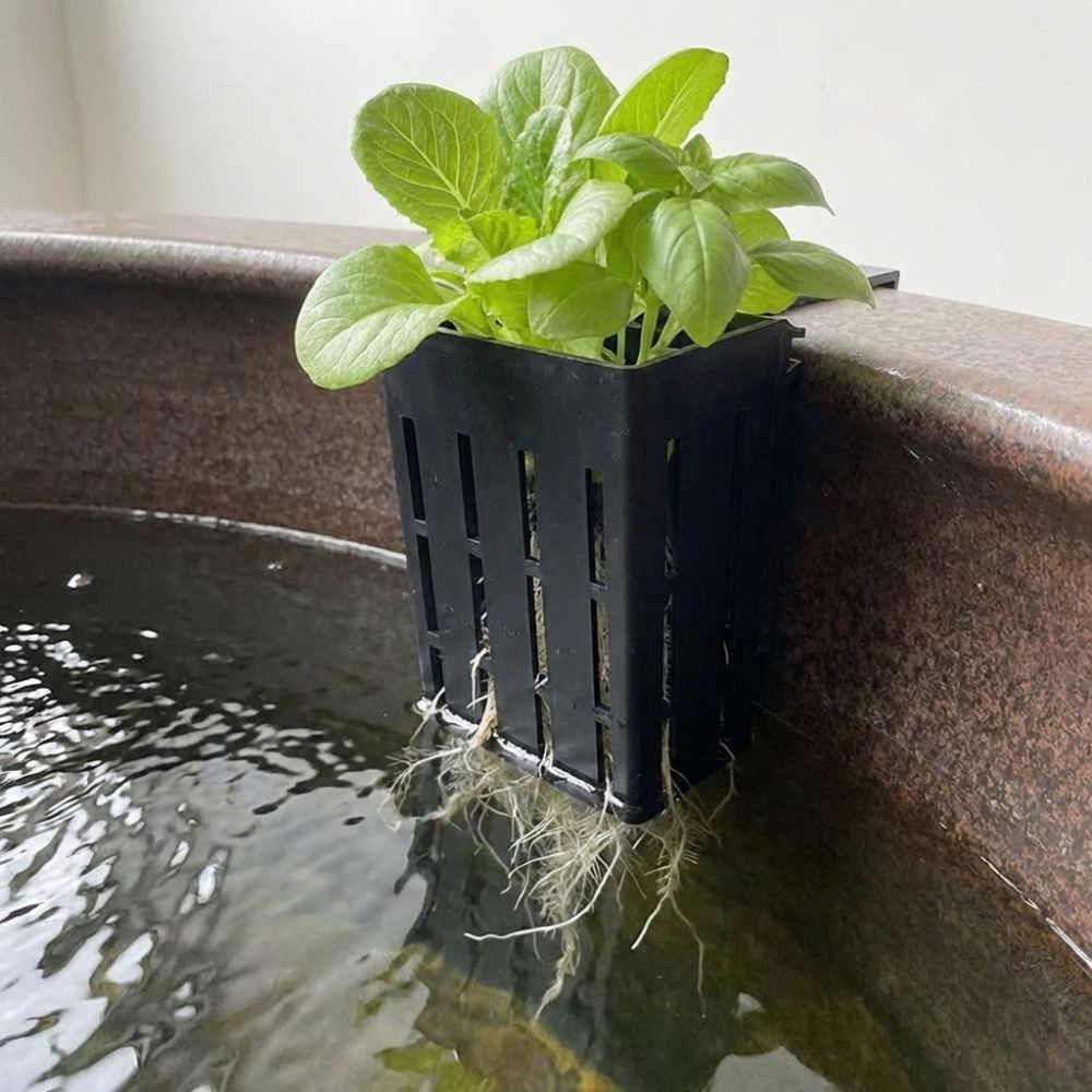 Wall-Mounted Aquarium Plant Ba - Aquarium Planted Wall 评论和价格