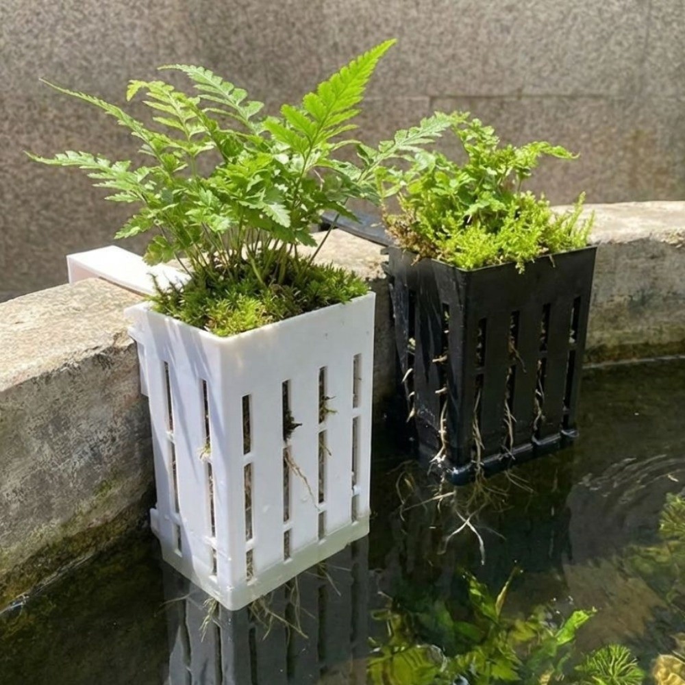 Wall-Mounted Aquarium Plant Ba - Aquarium Planted Wall 评论和价格