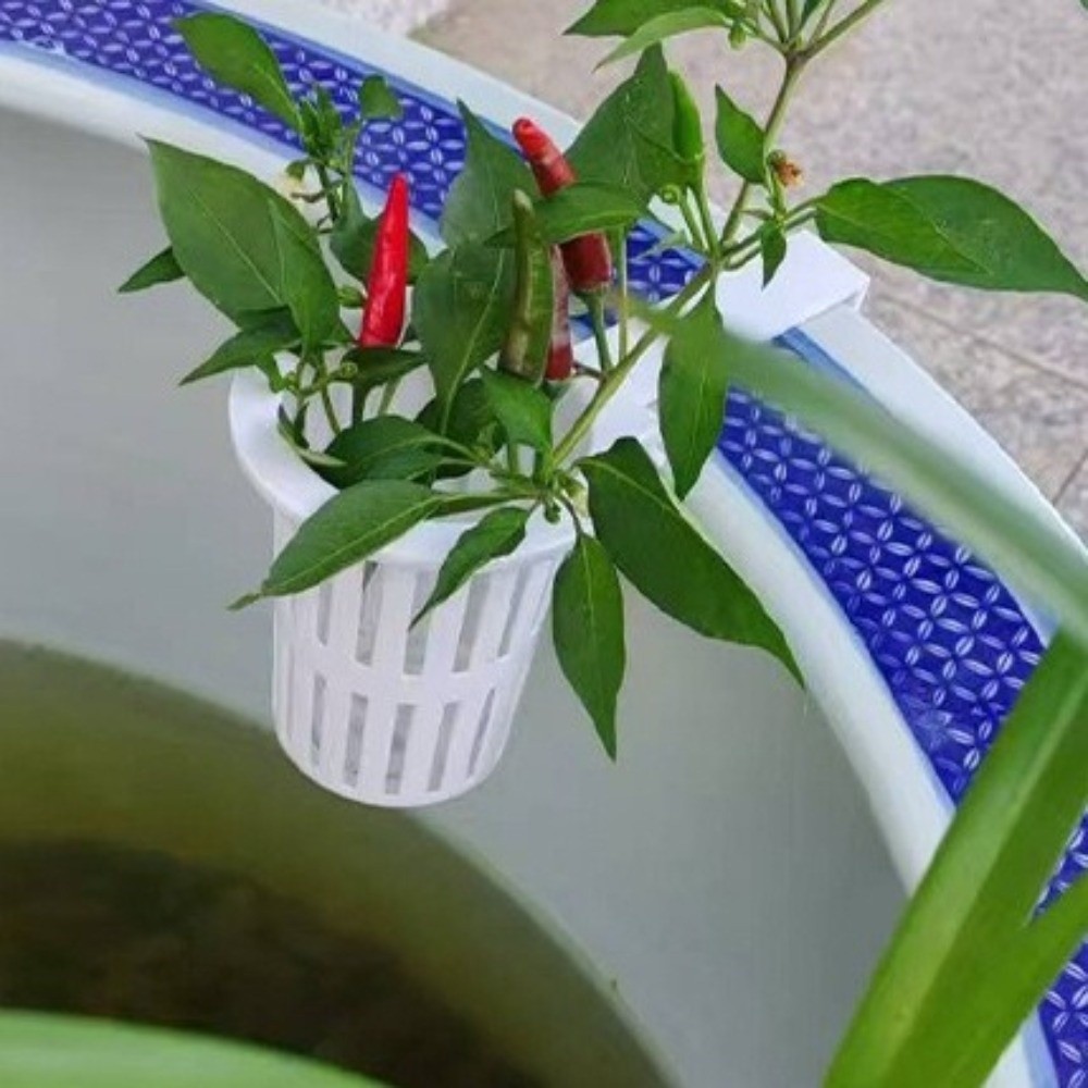 Wall-Mounted Aquarium Plant Ba - Aquarium Planted Wall 评论和价格