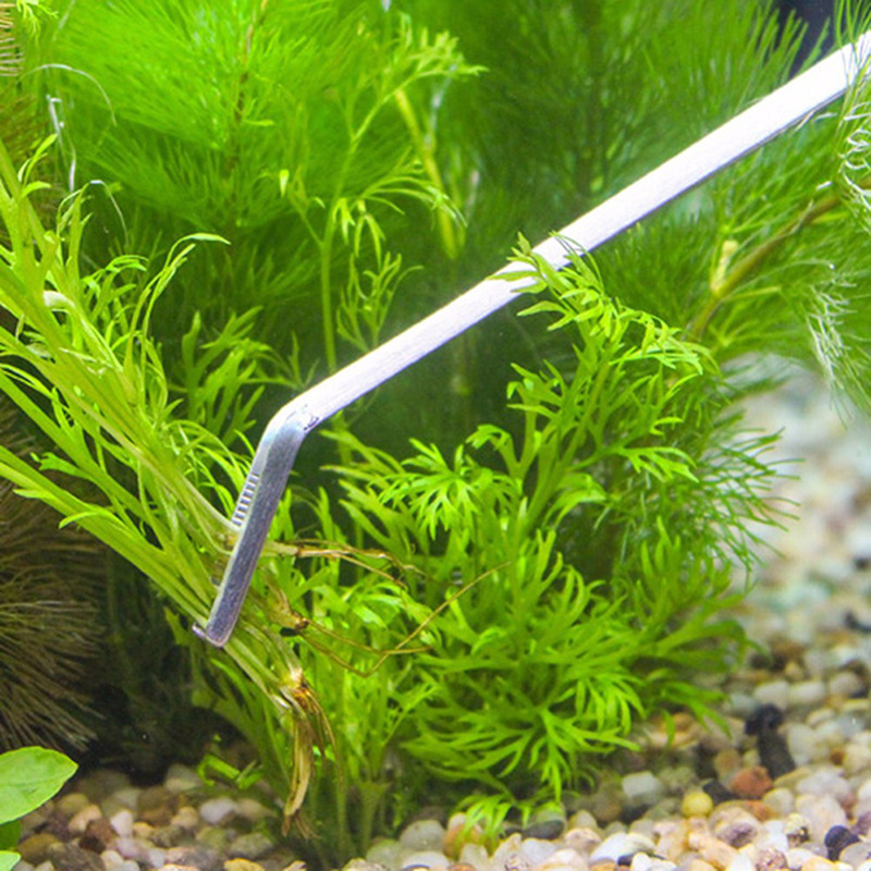 Professional Aquarium Maintena - Planted Aquarium Tool Kit 评论和价格