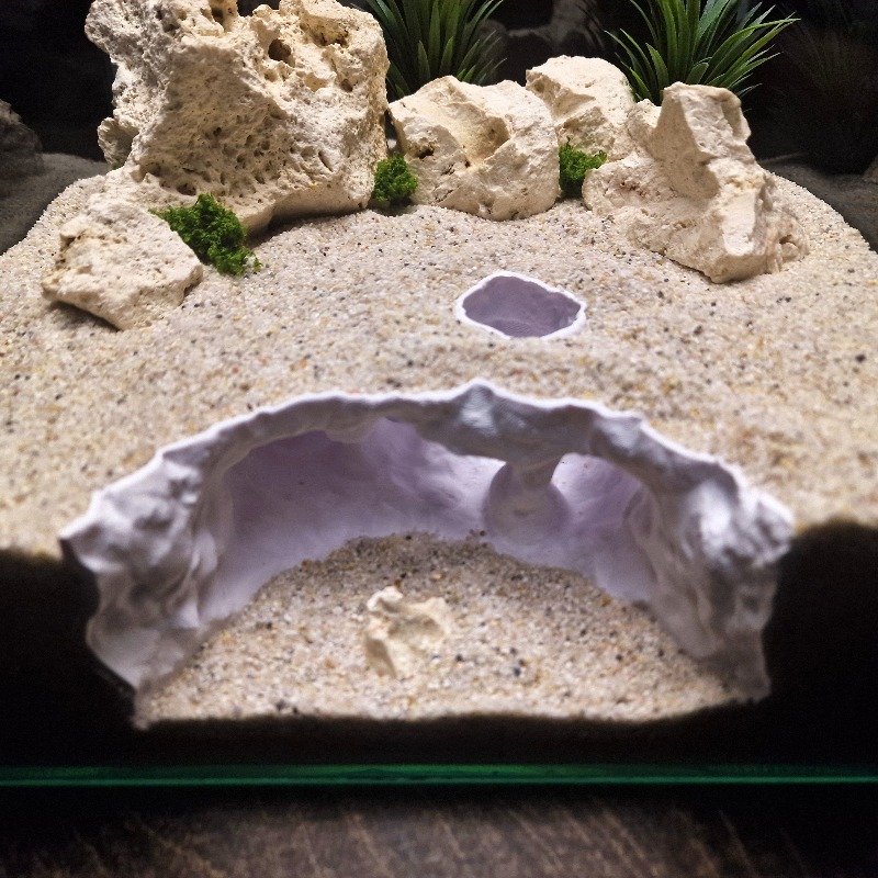 3D Printed Forked Cave Aquariu - Aquarium Planet 评论和价格