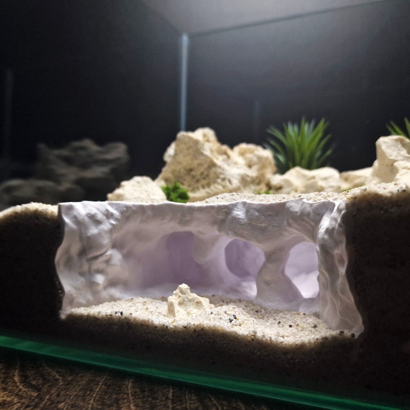 3D Printed Forked Cave Aquariu - Aquarium Planet 评论和价格