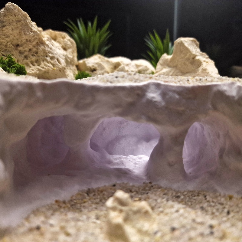 3D Printed Forked Cave Aquariu - Aquarium Planet 评论和价格