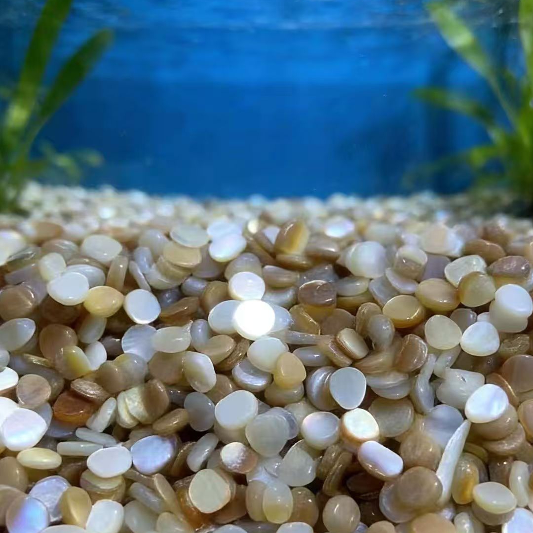 50pcs 4-7mm Not Drilled Natura - Aquarium Sand White 评论和价格