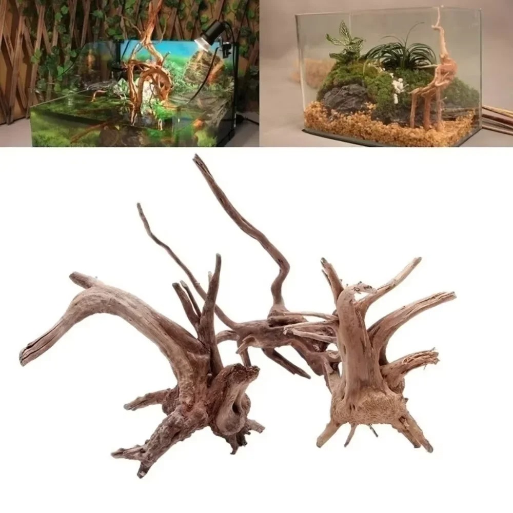 15-20CM Natural Driftwood Aqua - Aquarium Planting Ideas 评论和价格