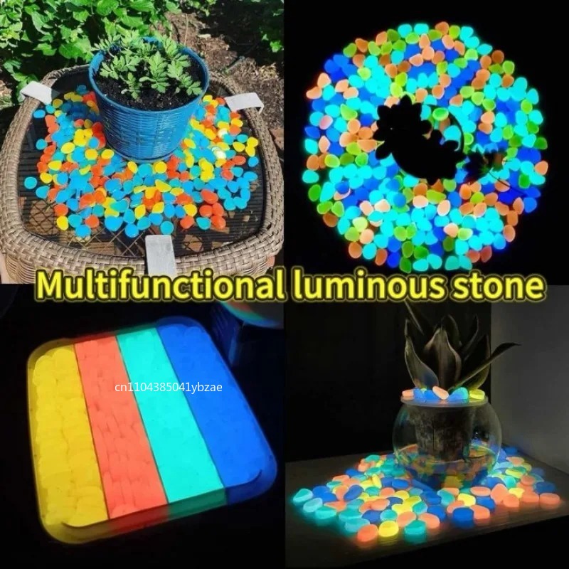 100-800pcs Glow in The Dark Pe - Aquarium Plants 评论和价格