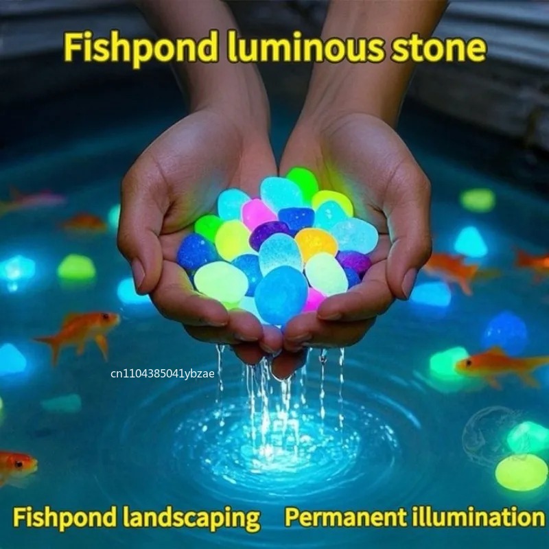 100-800pcs Glow in The Dark Pe - Aquarium Plants 评论和价格