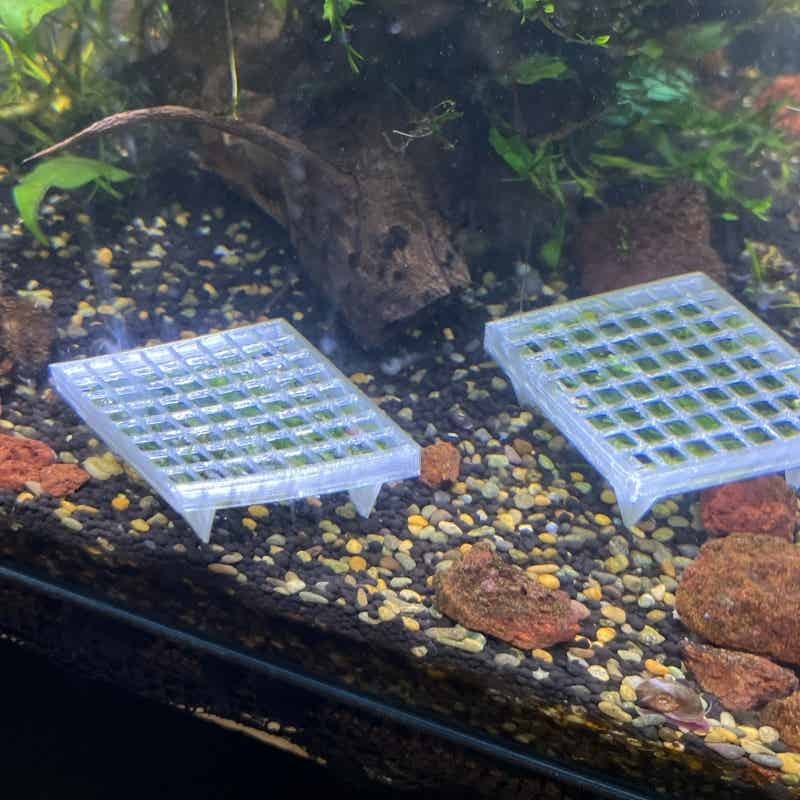 Aquarium Moss Cage Holder Fish - Aquarium Plant Echinodorus 评论和价格