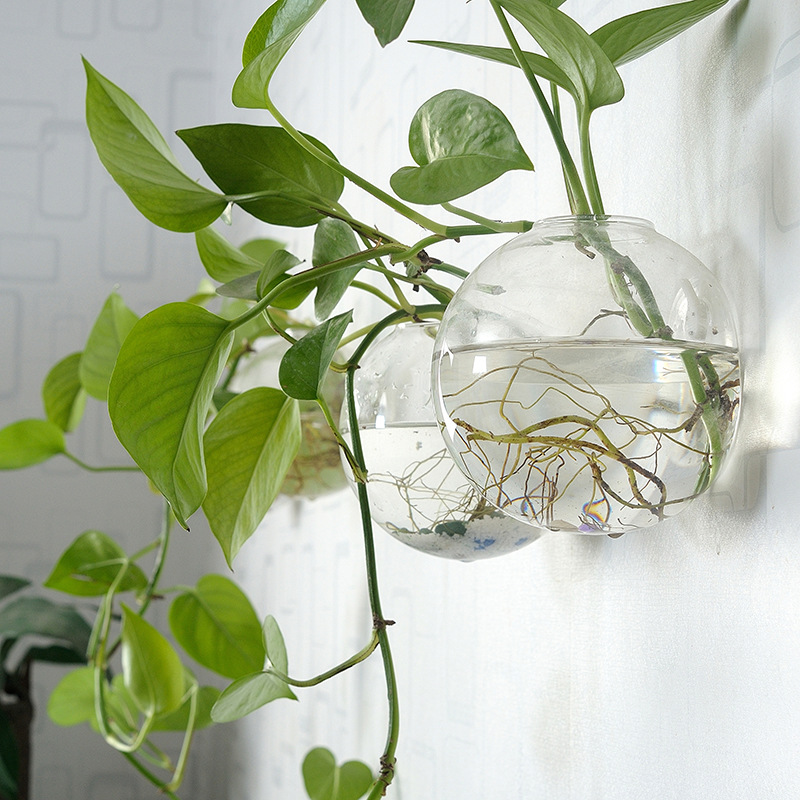 Wall Hanging Acrylic Fish Bowl - Aquarium Planted Wall 评论和价格