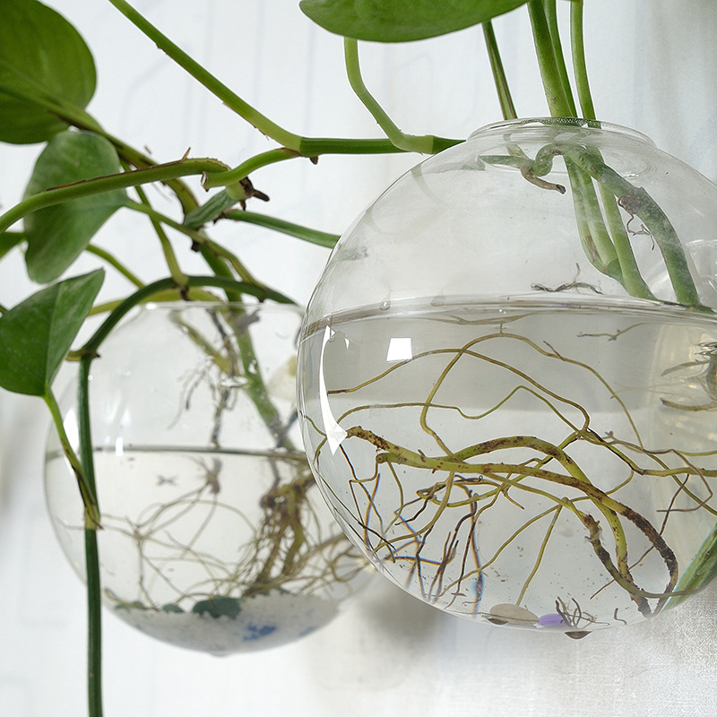 Wall Hanging Acrylic Fish Bowl - Aquarium Planted Wall 评论和价格