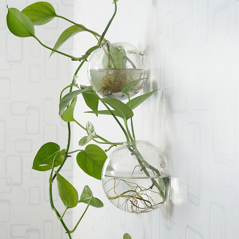 Wall Hanging Acrylic Fish Bowl - Aquarium Planted Wall 评论和价格