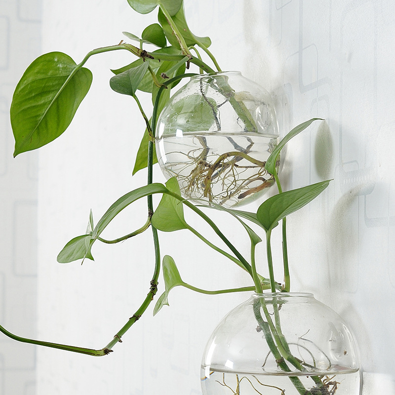 Wall Hanging Acrylic Fish Bowl - Aquarium Planted Wall 评论和价格