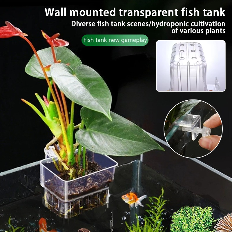 Aquarium Hanging Planter Cups  - Aquarium Planted Wall 评论和价格
